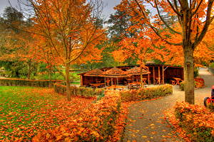 Hintergrundbilder Jahreszeiten Herbst Deutschland  Natur