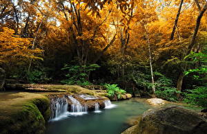 Pictures Seasons Autumn Waterfalls Stream Nature