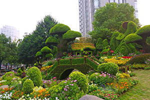 Bakgrundsbilder på skrivbordet Trädgårdar Kina  Natur
