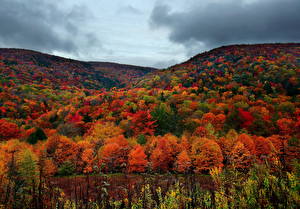 Фотография Времена года Осень Гора Штаты Virginia Природа