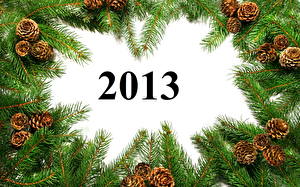 デスクトップの壁紙、、祝日、新年、2013、枝、クリスマスツリー、松かさ、
