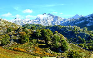 Фото Горы Испания Кангас-де-Онис Природа