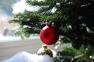 Sfondi desktop Giorno festivo Capodanno Palle Di ramo Albero di Natale