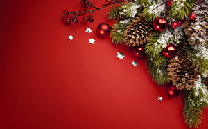 桌面壁纸，，假日，新年，枝，圣诞树，松球，