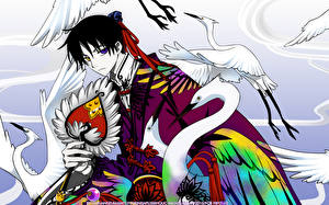Pictures xxxHOLiC Young man Anime
