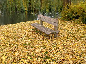 Фотография Времена года Осень Скамейка скамейка опавшие листья Природа