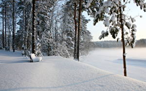 Bakgrundsbilder på skrivbordet Årstiderna Vinter Trädgårdsbänk Snö Natur