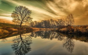 Pictures Sky Lake Poland Trees Clouds Nowa Sol Nature