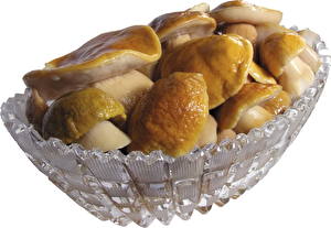 Pictures Mushrooms