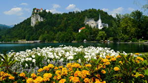 Bakgrundsbilder på skrivbordet Flod Slovenien  Natur