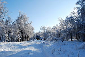 Fotos Jahreszeiten Winter Wege Schnee Natur