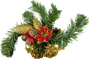 Fotos Feiertage Neujahr Ast Weihnachtsbaum Zapfen