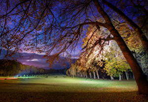 Обои Парк Трава Ночь Природа