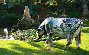 Фотографии Парки Испания Трава Андалусия Малага корова Природа