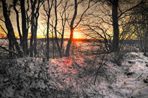 デスクトップの壁紙、、朝焼けと日没、冬、雪、自然