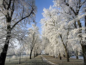 Image Seasons Winter Roads Snow Nature