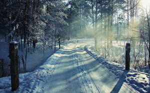 桌面壁纸，，季节，冬季，森林，道路，雪，大自然