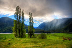 桌面壁纸，，山，新西兰，草，大自然