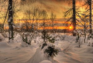 Photo Sunrise and sunset Winter Seasons Snow Nature