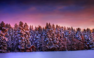 Fotos Jahreszeiten Winter Wälder Schnee Natur