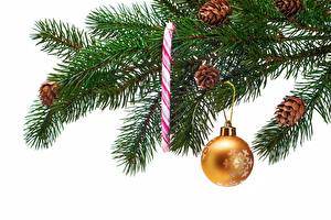 Bilder Feiertage Neujahr Kugeln Ast Weihnachtsbaum Zapfen