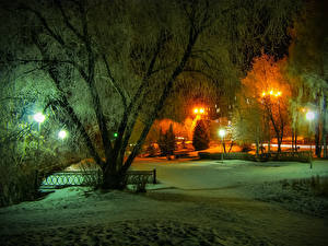Papel de Parede Desktop Estação do ano Invierno Raios de luz Neve Noite árvores  Naturaleza