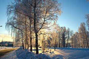 桌面壁纸，，季节，冬季，道路，雪，树，大自然