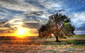 Tapety na pulpit Wschody i zachody słońca Niebo Promienie światła Drzewa HDR Chmury Słońce Natura