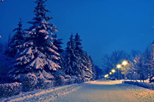 Fondos de escritorio Estaciones del año Invierno Carreteras Nieve Noche árboles Naturaleza