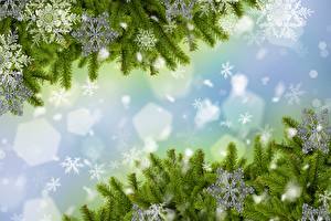 Sfondi desktop Giorno festivo Natale Rami Albero di Natale Fiocco di neve