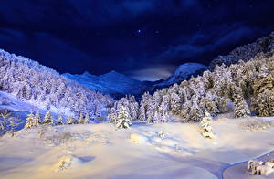 Wallpaper Seasons Winter Sky Forest Snow Night time Trees Nature