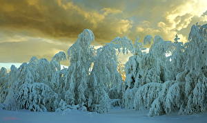 Images Seasons Winter Sky Snow Nature