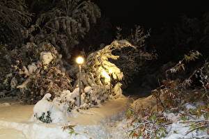 Bakgrunnsbilder En årstid Vinter Snø Gatelykter Natt Natur