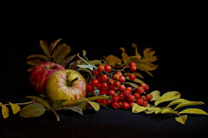 Image Still-life Apples Food