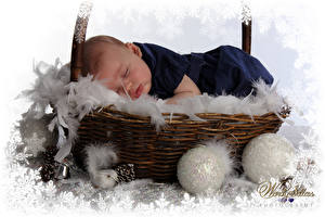 Wallpapers Newborn Snowflakes Wicker basket Children