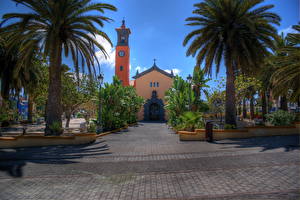 Images Spain HDR Palms Canary Islands  Cities