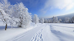 Bakgrunnsbilder Vinter Himmel Snø Natur