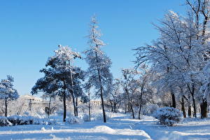Papel de Parede Desktop Estação do ano Invierno Céu Neve árvores Naturaleza