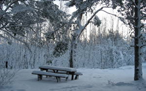 Bakgrundsbilder på skrivbordet Årstiderna Vinter Snö Trädgårdsbänk Träd Natur