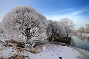 Fotos Jahreszeiten Winter Himmel Schnee Bäume Natur
