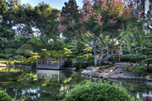 Fondos de escritorio Jardíns EE.UU. Estanque HDRI California Earl Burns Miller Japanese  Naturaleza