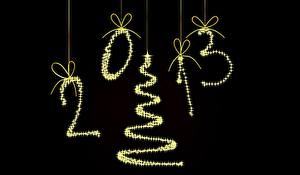 Fotos Feiertage Neujahr 2013