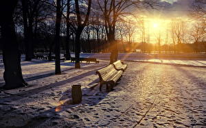 Фотография Времена года Зима Парк Рассвет и закат Снега Лучи света Скамейка Деревья Природа