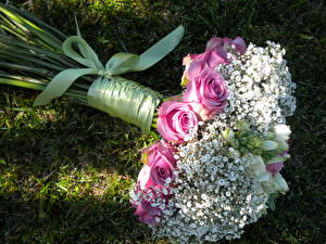 Bakgrunnsbilder Bukett Roser Bånd Gress Blomster