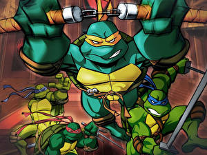 Bureaubladachtergronden Teenage Mutant Ninja Turtles