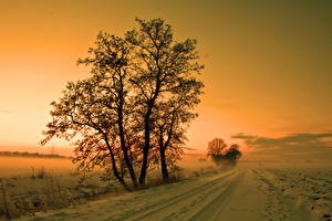桌面壁纸，，季节，冬季，道路，天空，雪，树，大自然