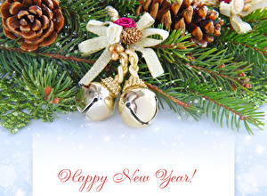 Hintergrundbilder Feiertage Neujahr Ast Tannenbaum Zapfen