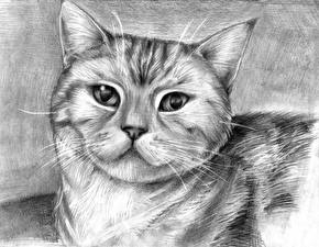 Images Cat Painting Art Staring Animals