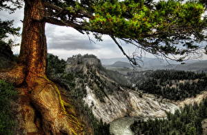 Картинка Парки Горы Реки США Дерева HDR Йеллоустон Montana Wyoming Природа