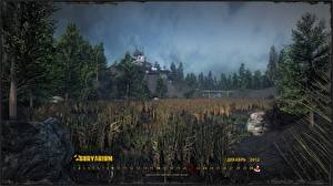 Hintergrundbilder Survarium Apokalypse Spiele
